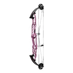 Hoyt Stratos 40 HBT Compound Bows 2024 17 Hoyt Stratos 40 HBT Compound Bows 2024 -Bow Shop 40hbtstardust 1