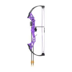 Bear Brave 3 Compound Bow -Bow Shop bear brave purple 1