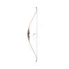 Bearpaw Eagle Stick Hybrid Bow -Bow Shop eaglebow 1 1